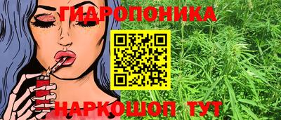 ECSTASY Кулебаки