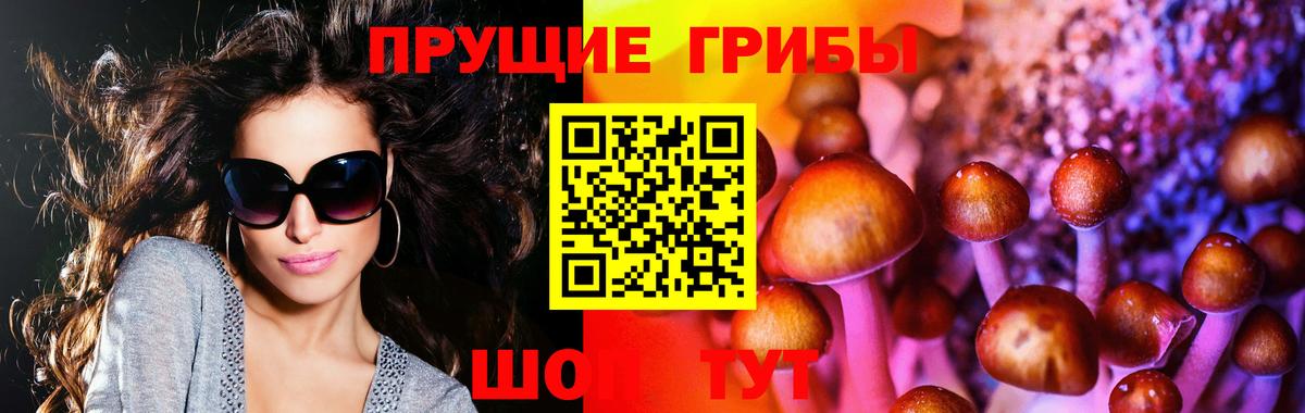 Галлюциногенные грибы Cubensis  Вход с VPN  Кириши  Псилоцибиновые грибы мицелий 